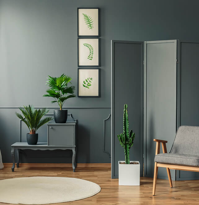 Deluxe Suite - Bedroom